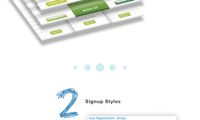 WP-Membership 12