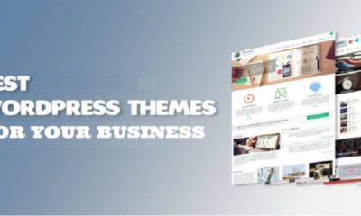 What to Consider When Choosing a WordPress Theme for Your Business 11