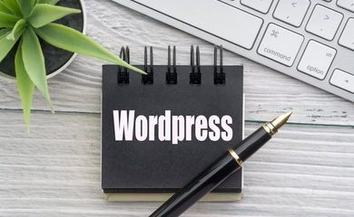 The Complete In-Depth Guide to Getting Started with WordPress Development in 2022 35