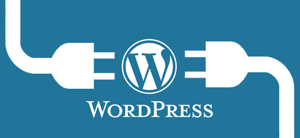 5 Reasons Why You Should Or Should Not Use WordPress Plugins 6