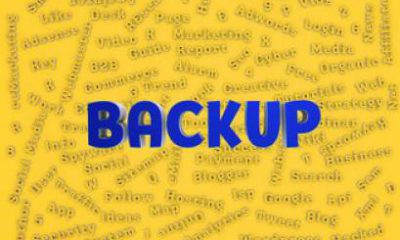 WordPress Backup for Bloggers 15