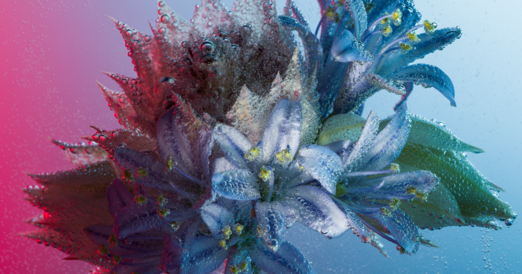 18 Photo Editing apps to try in 2024. 26